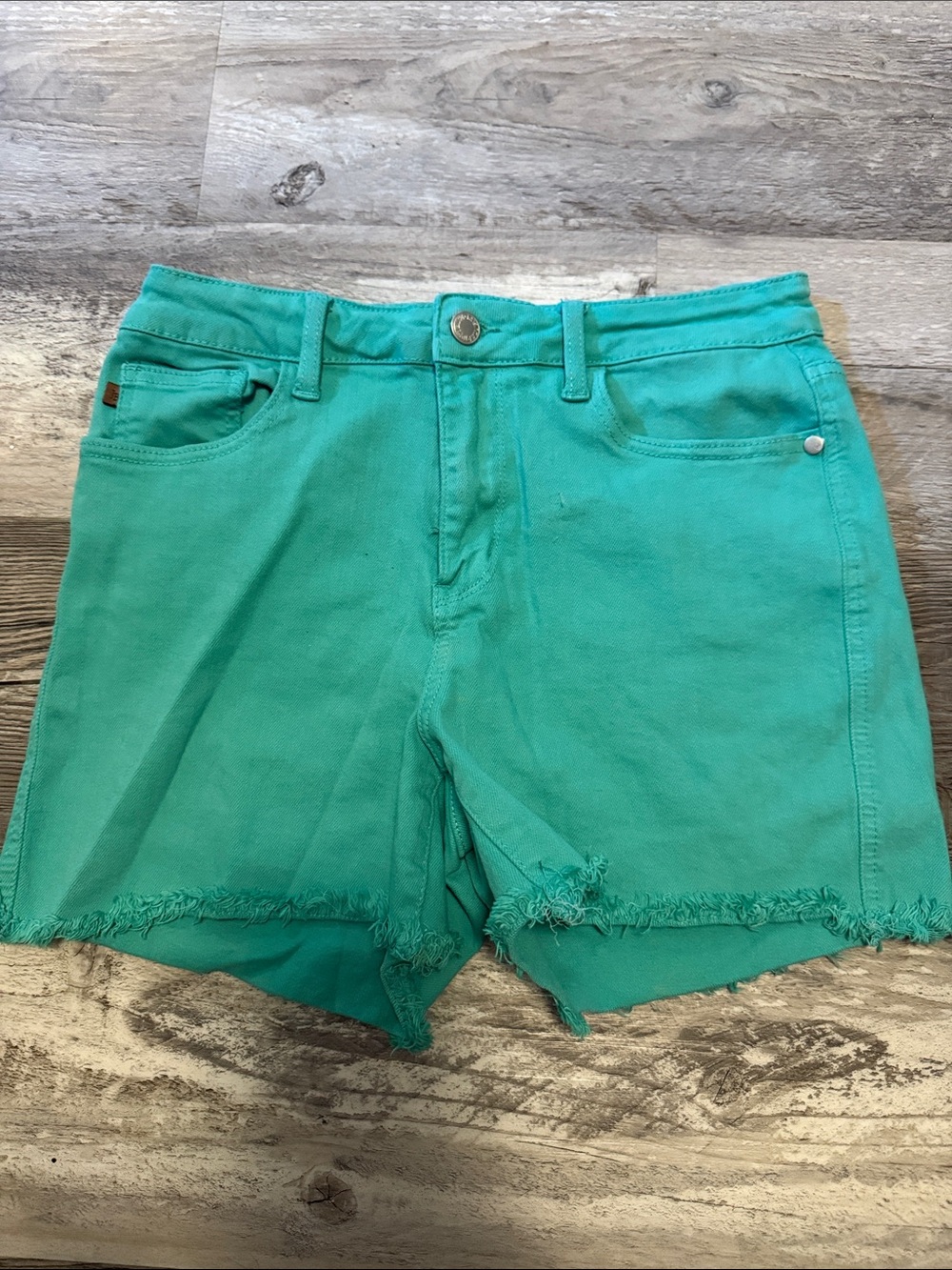 Judy Blue Teal Frayed Hem Jean Shorts